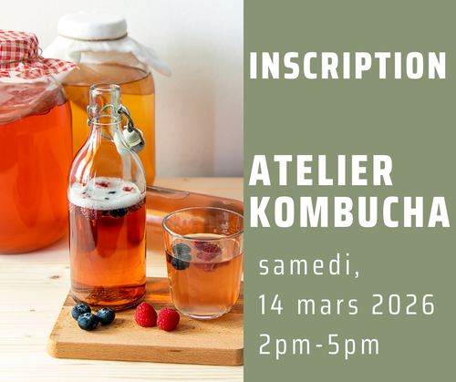 Atelier kombucha