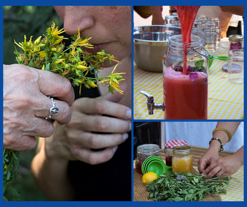 Ateliers : plongez au coeur de la nature